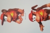 Diddys Quest Donkey Kong Country 2 Official Nintendo Character Information Reference Sheets