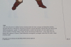 Zelda Official Nintendo Character Information Reference Sheets